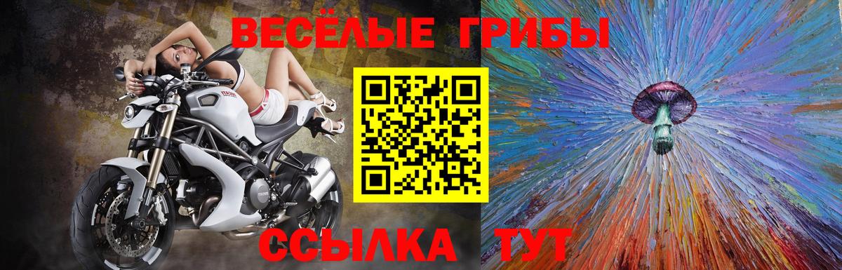 Галлюциногенные грибы Cubensis Полевской