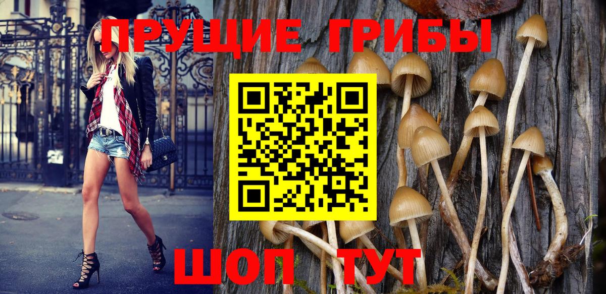 Полевской  Галлюциногенные грибы Magic Shrooms  Вход с VPN 