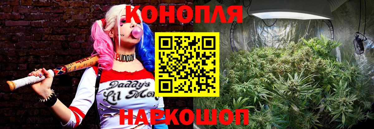 Марихуана Ganja  Бошки марихуана индика  Вход с VPN  Полевской  Бошки марихуана марихуана 